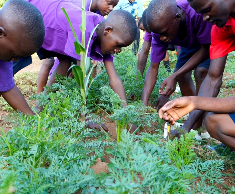 life-at-nsimbi-education-centre
