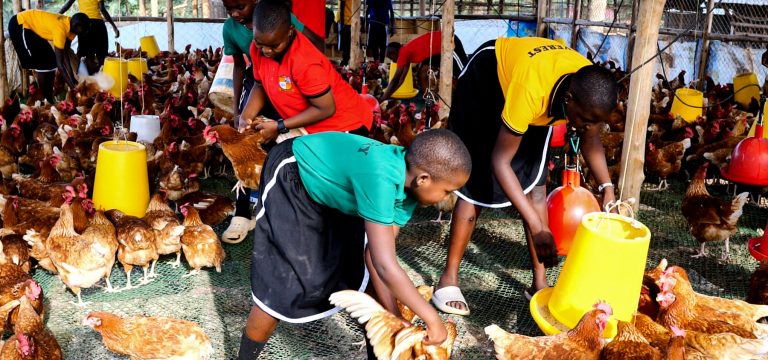 nurturing-responsibility-developing-lifeskills-at-nsimbi-education-centre