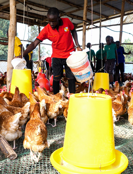 poutry-rearing-at-nsimbi-education-centre